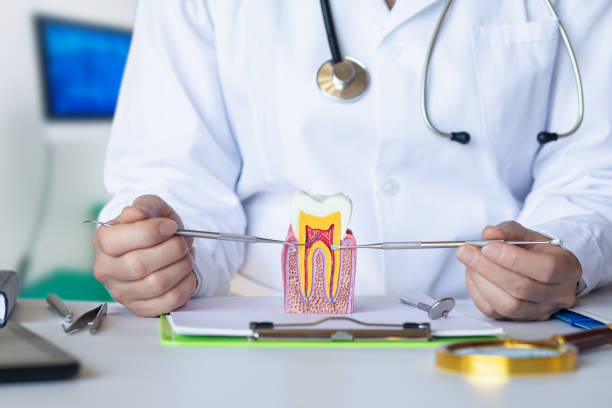 Best Emergency Wisdom Tooth Extraction in Charlotte, NC